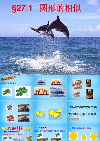 九年级数学下册 271 图形的相似课件 新人教版 课件
