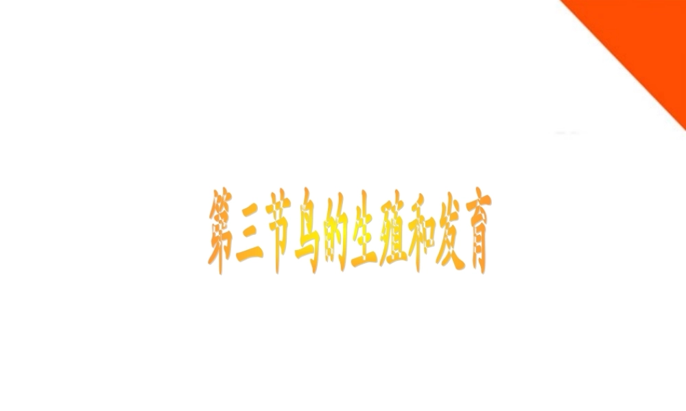 八年级生物下册 第二章第三节鸟的生殖和发育课件