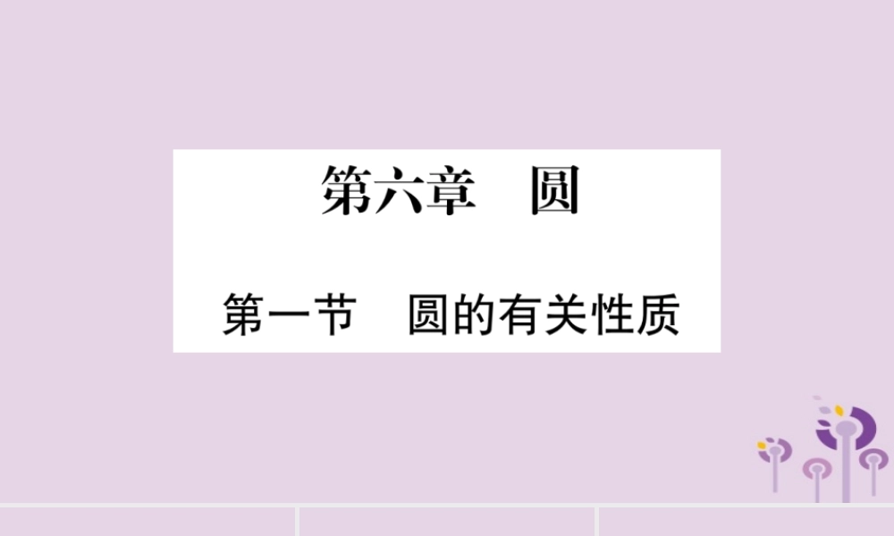 中考数学复习 第一轮 考点系统复习 第6章 圆 第1节 圆的有关性质导学课件