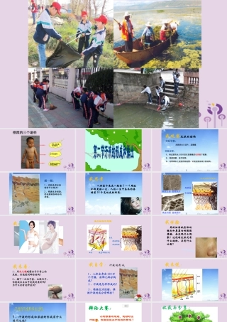七年级生物上册 4.5.2汗液的形成和排出课件 鲁科版五四制 七年级生物上册 4.5.2汗液的形成和排出课件+素材 鲁科版五四制