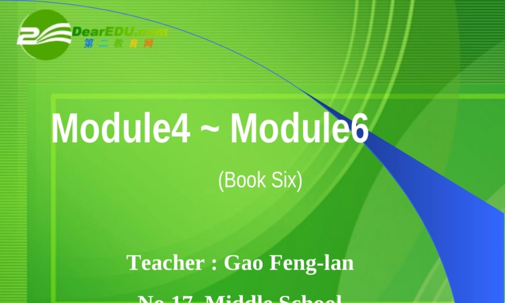 九年级英语中考阶段复习词汇练习(Module4~6第六册课件外研版 课件