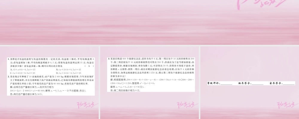 九年级数学上册 第22章 一元二次方程 223 实践与探索(2)练习课件 (新版)华东师大版 课件