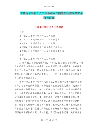 工商电子银行个人工作总结与工商登记制度改革工作报告汇编