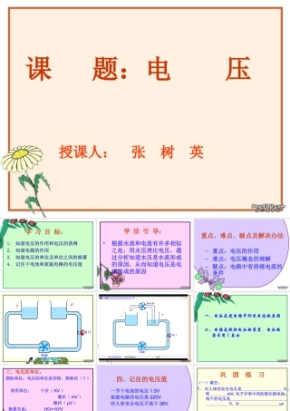 初三物理电压 课件
