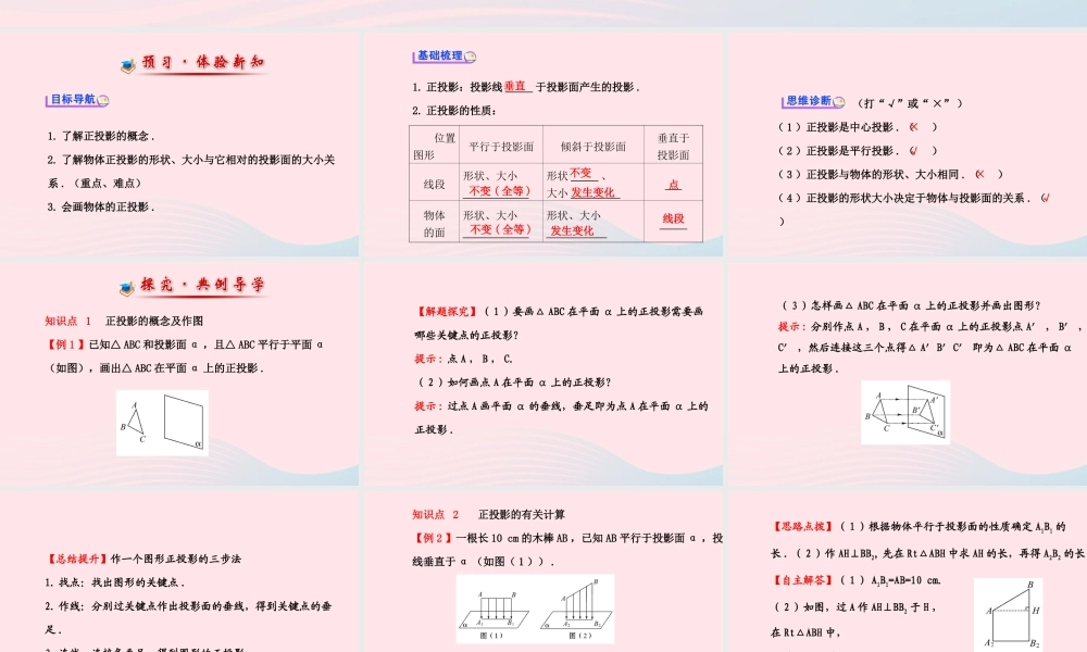 九年级数学下册 第29章投影与视图 291 投影第2课时习题课件 新人教版 课件