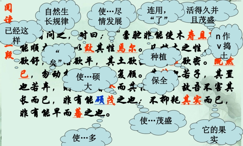 山东省沂水一中高二语文(种树郭橐驼传(2))课件 新人教版 课件