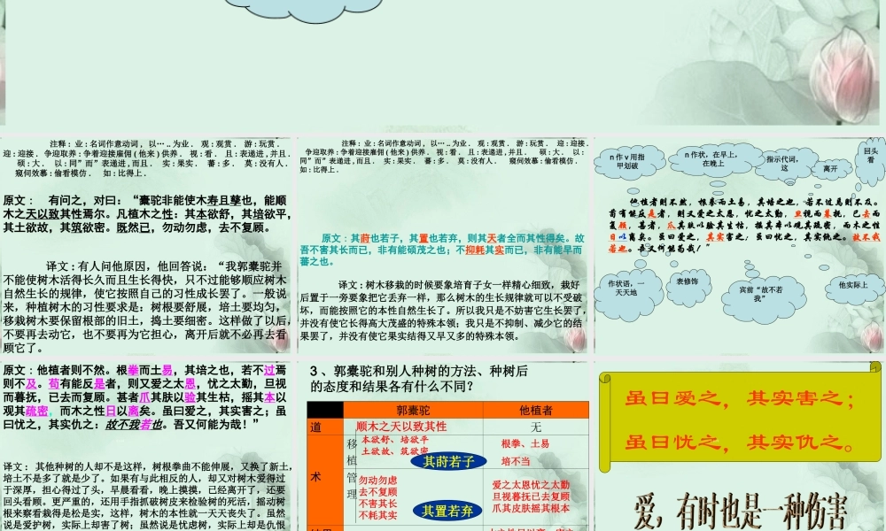 山东省沂水一中高二语文(种树郭橐驼传(2))课件 新人教版 课件