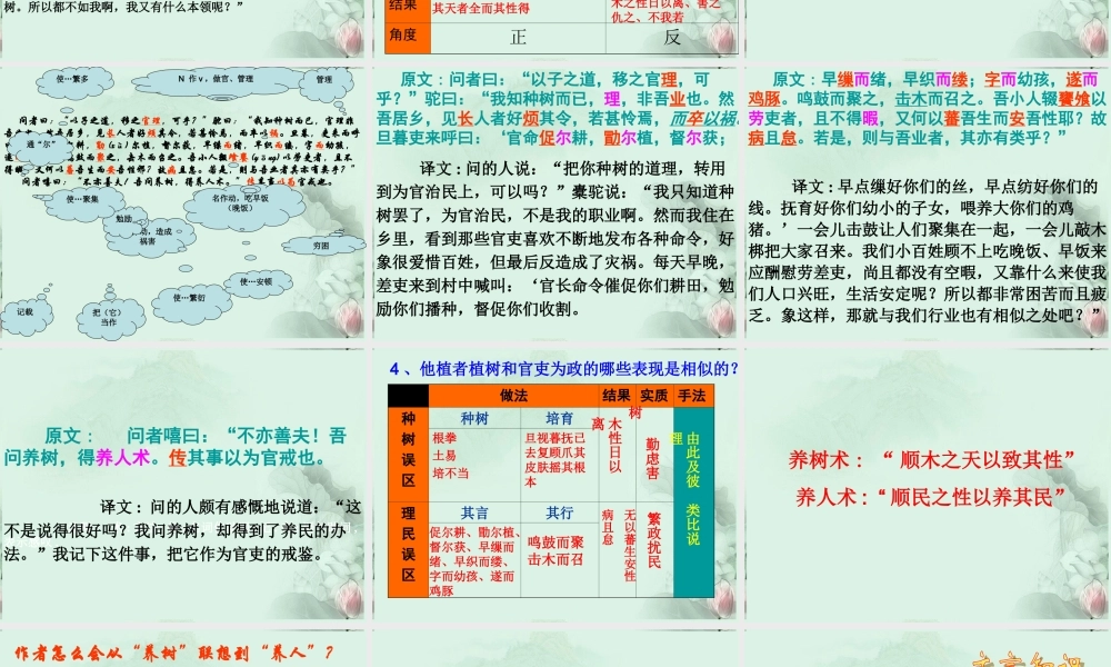 山东省沂水一中高二语文(种树郭橐驼传(2))课件 新人教版 课件