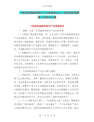 工商系统战略性新兴产业发展意见与工商系统挂职锻炼工作报告汇编