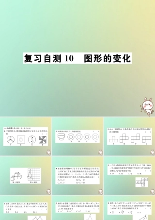 九年级数学下册 复习自测10 图形的变化习题课件 (新版)新人教版 课件