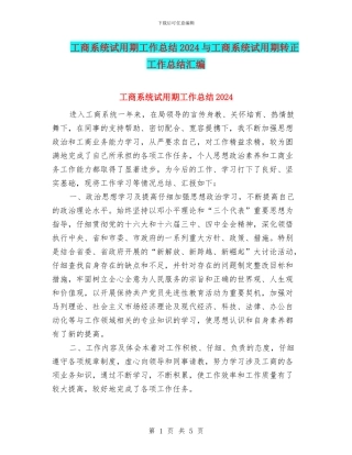 工商系统试用期工作总结2024与工商系统试用期转正工作总结汇编