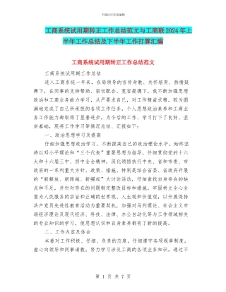 工商系统试用期转正工作总结范文与工商联2024年上半年工作总结及下半年工作打算汇编