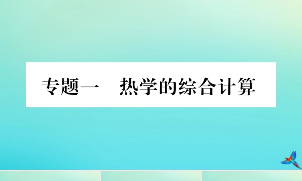 九年级物理全册 第十四章 内能的利用 专题一 热学的综合计算习题讲评课件 (新版)新人教版 课件