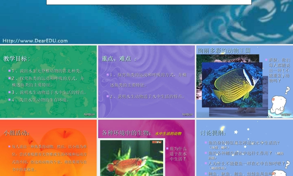 八年级生物上册 第一章 水中生活的动物 课件