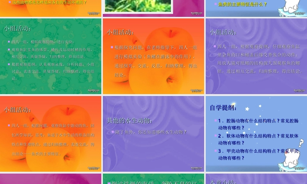 八年级生物上册 第一章 水中生活的动物 课件