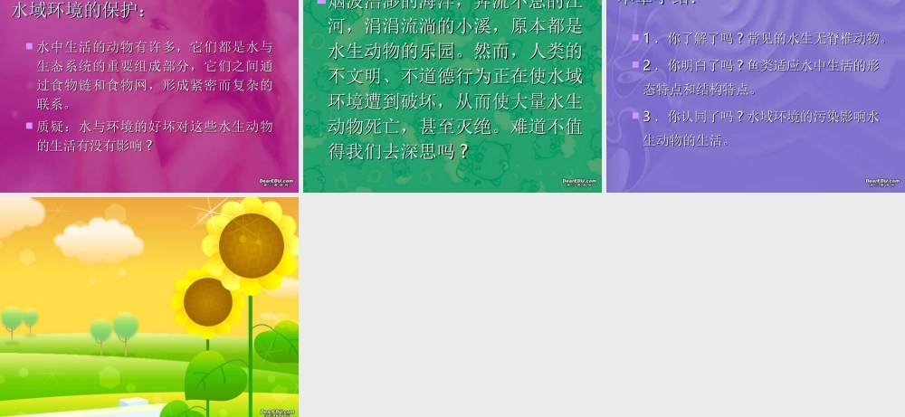 八年级生物上册 第一章 水中生活的动物 课件