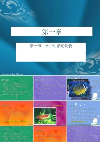 八年级生物上册 第一章 水中生活的动物 课件