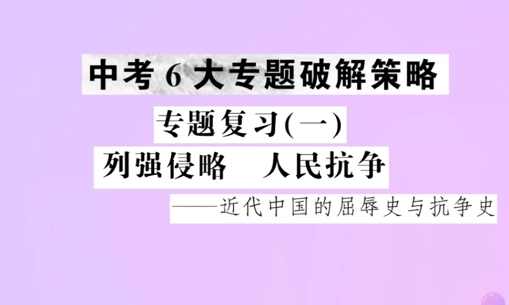 中考历史复习 专题复习(一)列强侵略 人民抗争课件