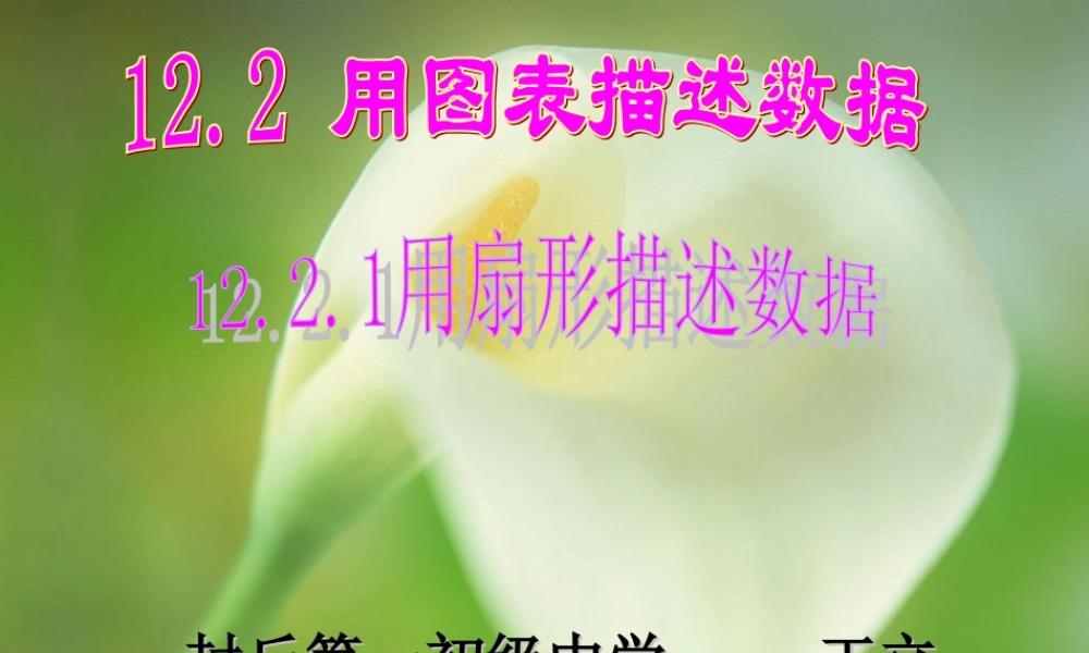 八年级数学用扇形描述数据课件1 新课标 人教版 课件