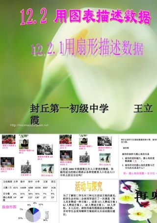 八年级数学用扇形描述数据课件1 新课标 人教版 课件