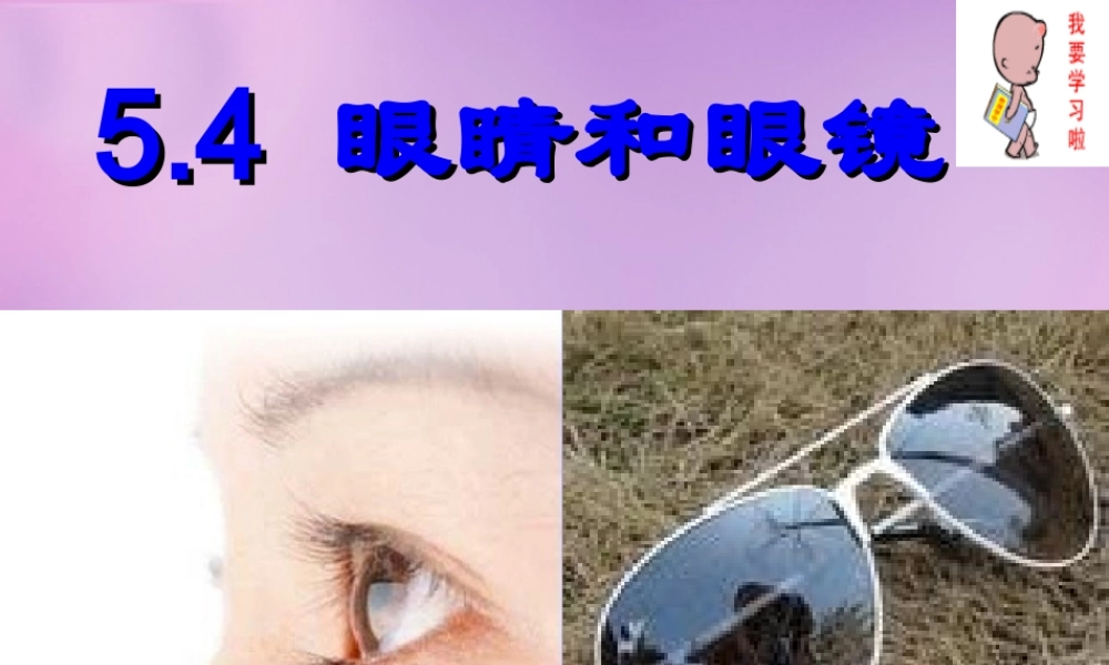 八年级物理上册 第五章 第四节 眼睛和眼镜课件 (新版)新人教版 课件