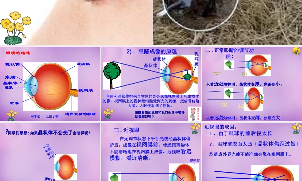 八年级物理上册 第五章 第四节 眼睛和眼镜课件 (新版)新人教版 课件