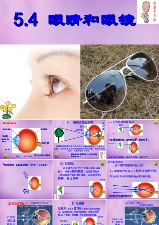 八年级物理上册 第五章 第四节 眼睛和眼镜课件 (新版)新人教版 课件