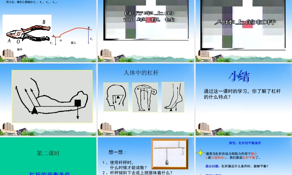 九年级科学上册 第三章第三节杠杆课件 华师大版 课件