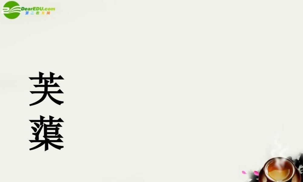 八年级语文下册(芙蕖)课件1 北师大版 课件