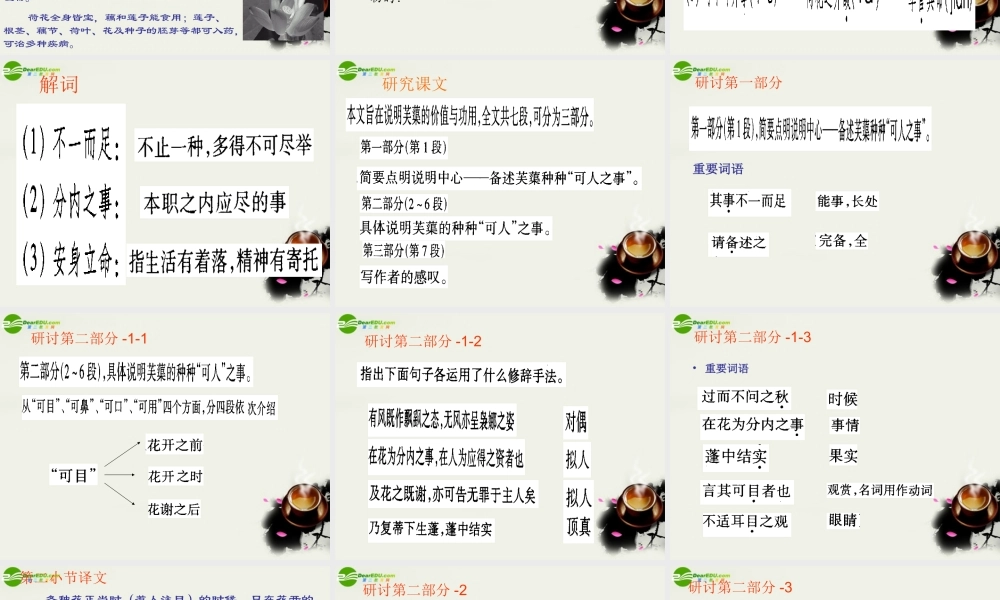 八年级语文下册(芙蕖)课件1 北师大版 课件