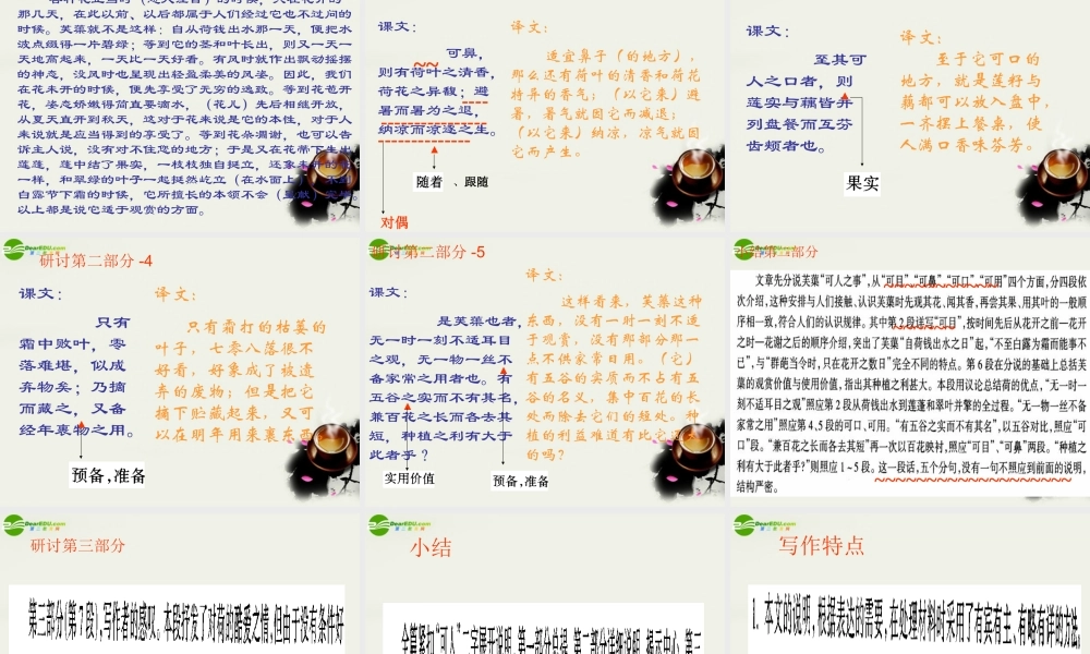 八年级语文下册(芙蕖)课件1 北师大版 课件