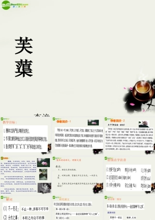 八年级语文下册(芙蕖)课件1 北师大版 课件