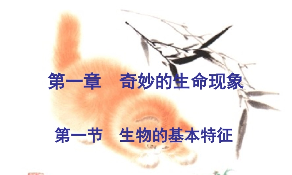 七年级生物上册 奇妙的生命现象复习  济南版 课件