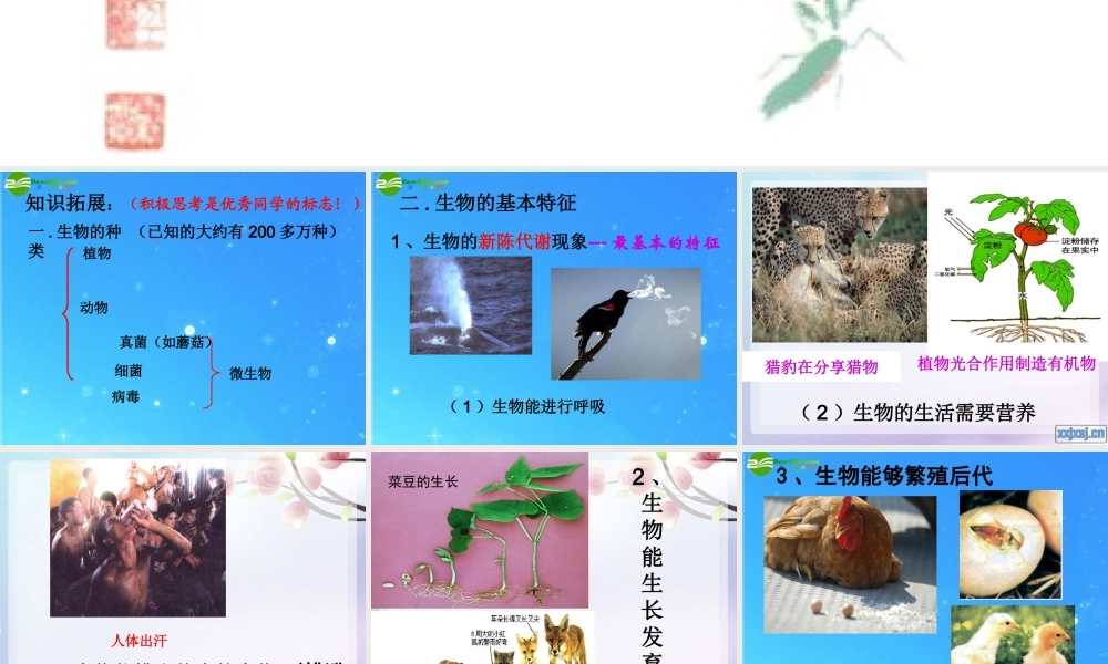 七年级生物上册 奇妙的生命现象复习  济南版 课件