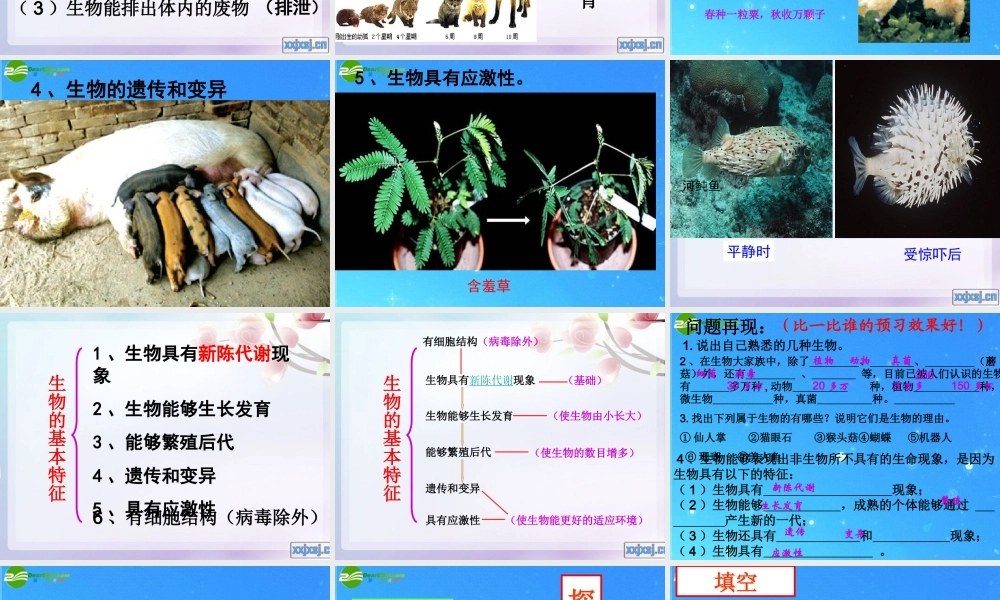 七年级生物上册 奇妙的生命现象复习  济南版 课件