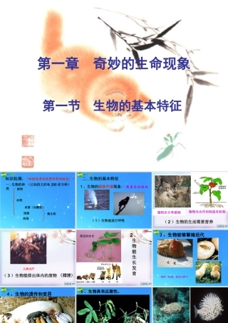 七年级生物上册 奇妙的生命现象复习  济南版 课件