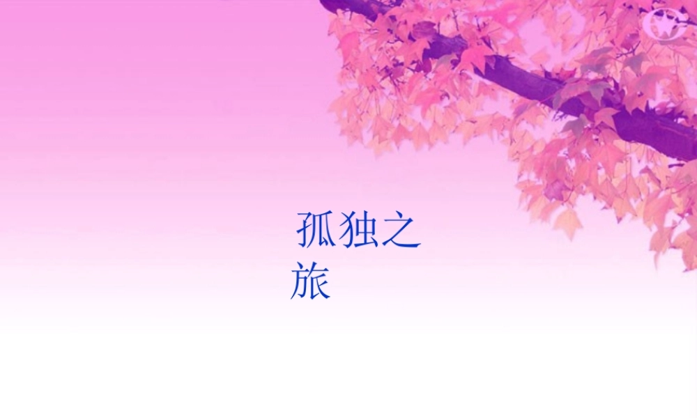 孤独之旅 课件 人教版 课件