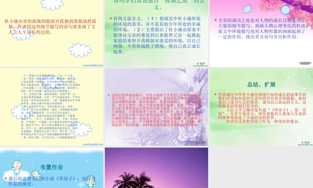 孤独之旅 课件 人教版 课件