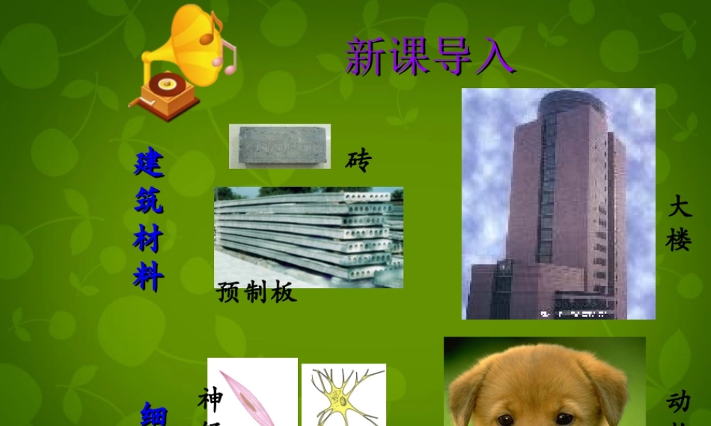 八年级生物下册 第七单元 第一章 第四节 鸟的生殖和发育课件2 新人教版 课件
