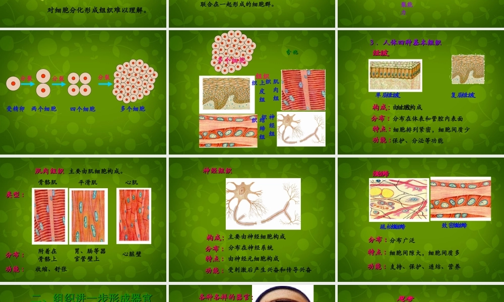 八年级生物下册 第七单元 第一章 第四节 鸟的生殖和发育课件2 新人教版 课件