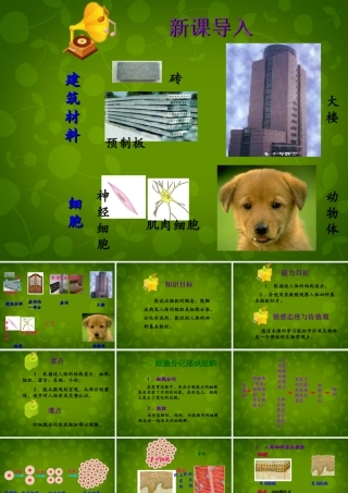 八年级生物下册 第七单元 第一章 第四节 鸟的生殖和发育课件2 新人教版 课件