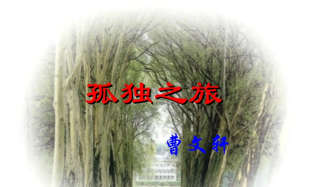 孤独之旅九年级语文 人教版 课件