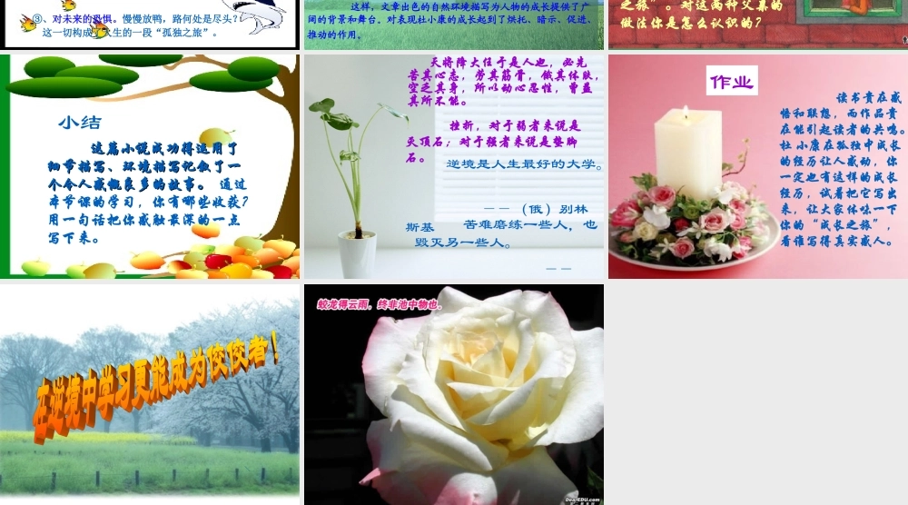 孤独之旅九年级语文 人教版 课件