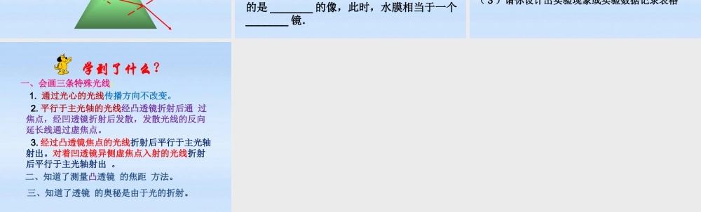 八年级物理上册 4.2透镜2课件 苏科版 课件