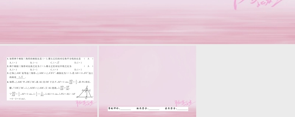九年级数学上册 342 相似三角形的性质(第1课时)与相似三角形的高、中线、角平分线等有关的性质练习课件 (新版)湘教版 课件