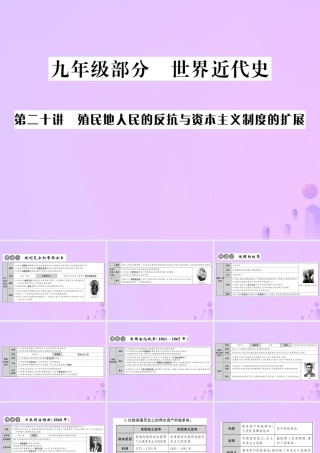 中考历史总复习 第二十讲 殖民地人民的反抗与资本主文制度的扩展课件 新人教版 课件