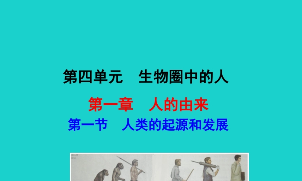 七年级生物下册 4.1.1 人的起源和发展课件 七年级生物下册 4.1.1 人的起源和发展课+素材(新版)新人教版