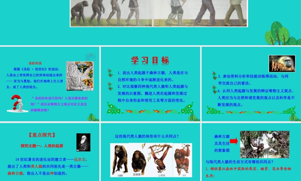 七年级生物下册 4.1.1 人的起源和发展课件 七年级生物下册 4.1.1 人的起源和发展课+素材(新版)新人教版