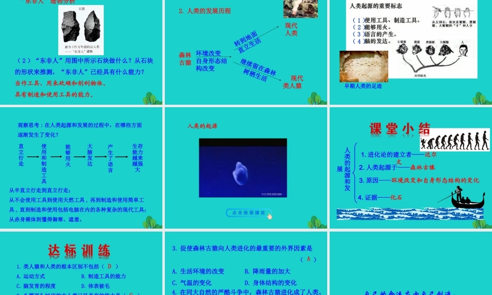 七年级生物下册 4.1.1 人的起源和发展课件 七年级生物下册 4.1.1 人的起源和发展课+素材(新版)新人教版