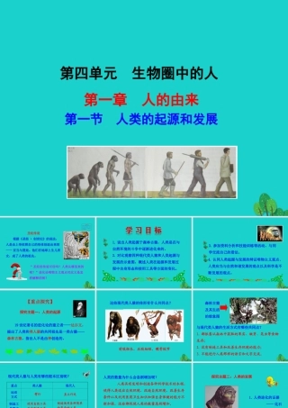 七年级生物下册 4.1.1 人的起源和发展课件 七年级生物下册 4.1.1 人的起源和发展课+素材(新版)新人教版